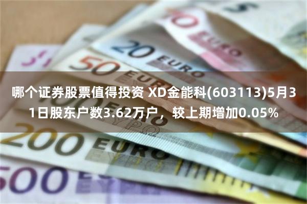 哪个证券股票值得投资 XD金能科(603113)5月31日股东户数3.62万户，较上期增加0.05%