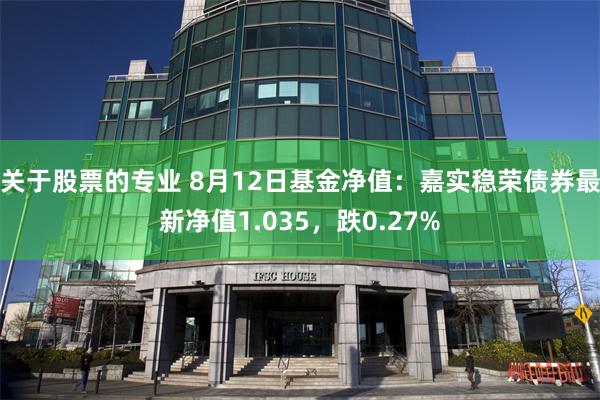 关于股票的专业 8月12日基金净值：嘉实稳荣债券最新净值1.035，跌0.27%