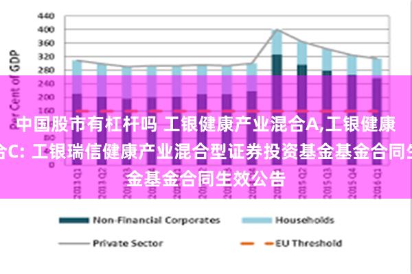 中国股市有杠杆吗 工银健康产业混合A,工银健康产业混合C: 工银瑞信健康产业混合型证券投资基金基金合同生效公告