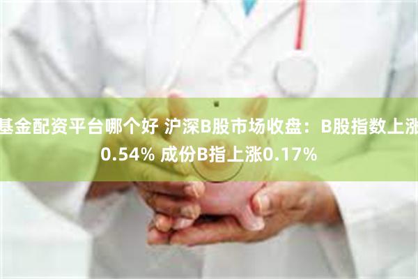 基金配资平台哪个好 沪深B股市场收盘：B股指数上涨0.54% 成份B指上涨0.17%