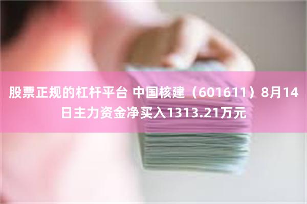 股票正规的杠杆平台 中国核建（601611）8月14日主力资金净买入1313.21万元