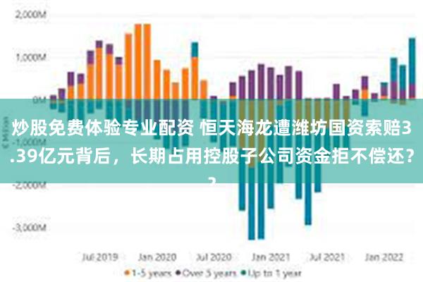 炒股免费体验专业配资 恒天海龙遭潍坊国资索赔3.39亿元背后，长期占用控股子公司资金拒不偿还？