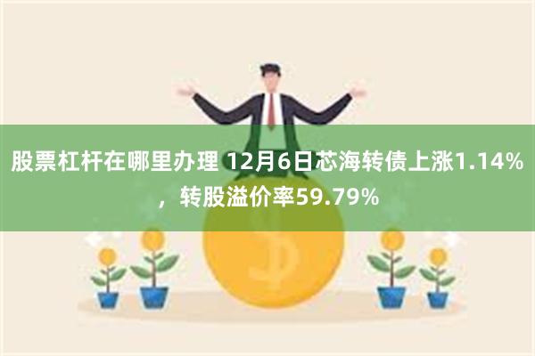 股票杠杆在哪里办理 12月6日芯海转债上涨1.14%，转股溢价率59.79%