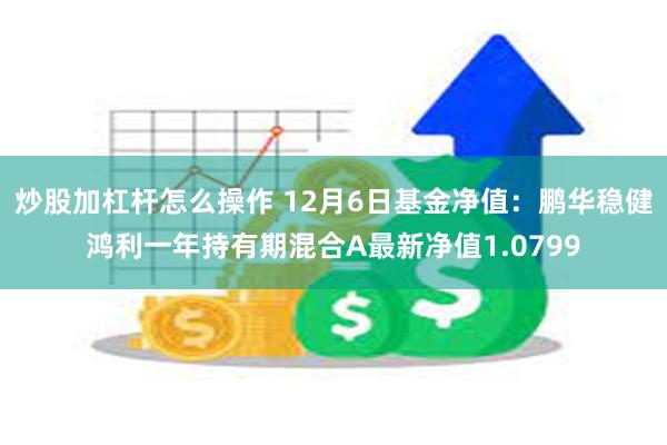 炒股加杠杆怎么操作 12月6日基金净值：鹏华稳健鸿利一年持有期混合A最新净值1.0799