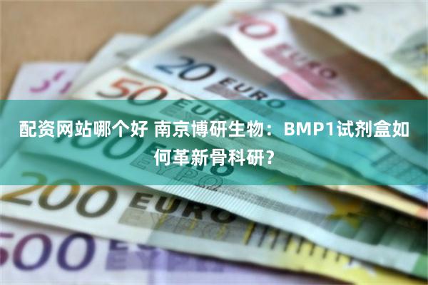 配资网站哪个好 南京博研生物：BMP1试剂盒如何革新骨科研？