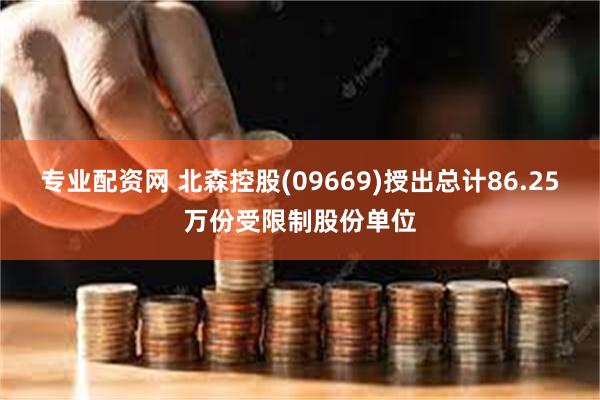 专业配资网 北森控股(09669)授出总计86.25万份受限制股份单位