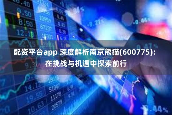 配资平台app 深度解析南京熊猫(600775): 在挑战与机遇中探索前行