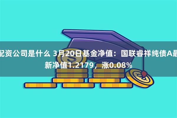 配资公司是什么 3月20日基金净值：国联睿祥纯债A最新净值1.2179，涨0.08%