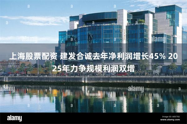 上海股票配资 建发合诚去年净利润增长45% 2025年力争规模利润双增